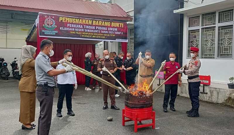 kejari-sawahlunto-musnahkan-2,8-kg-ganja-dan-puluhan-gram-sabu