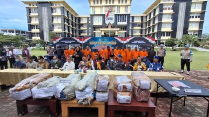 polda-sumbar-sita-dan-musnahkan-121-kg-ganja