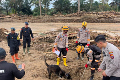 k-9-identifikasi-titik-tertimbun-korban-longsor-di-sibolga-kota