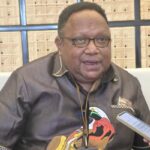 pemprov-papua-harus-punya-wewenang-beri-izin-tambang