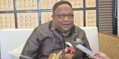 pemprov-papua-harus-punya-wewenang-beri-izin-tambang