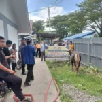 warga-huntara-lubuk-buaya-terima-bantuan-tiga-ekor-sapi-kurban