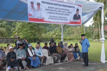 warga-pauh-terima-sapi-kurban-bantuan-presiden-prabowo-subianto-seberat-964-kg