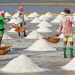 ri-akan-swasembada-garam-industri-lewat-program-k-sign-kkp-di-rote-ndao-ntt