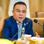 Wakil Ketua DPR RI, Sufmi Dasco Ahmad. Foto : Internet