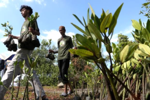 Pemandangan hutan tropis hijau yang rimbun sebagai simbol pelestarian lingkungan di Indonesia.