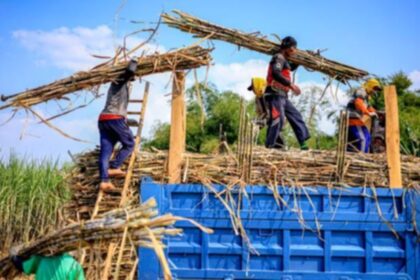 Menteri Pertanian Andi Amran Sulaiman memberikan keterangan terkait kewajiban industri gula memiliki kebun tebu sendiri.