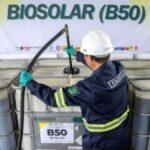 Tumpukan buah kelapa sawit di pabrik pengolahan untuk bahan baku biodiesel