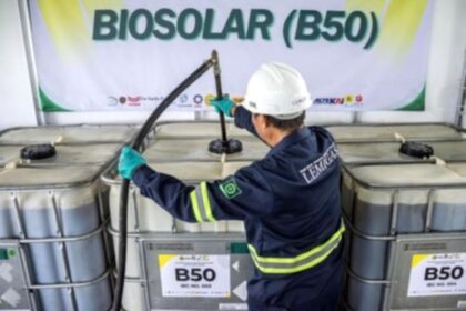 Tumpukan buah kelapa sawit di pabrik pengolahan untuk bahan baku biodiesel