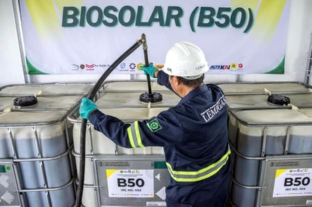 Tumpukan buah kelapa sawit di pabrik pengolahan untuk bahan baku biodiesel