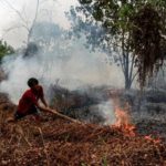 Ilustrasi kebakaran hutan dan lahan yang sedang ditangani petugas di wilayah Kalimantan.