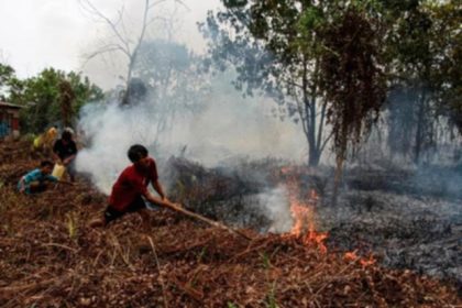 Ilustrasi kebakaran hutan dan lahan yang sedang ditangani petugas di wilayah Kalimantan.