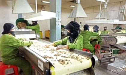 Papan nama PT Industri Jamu dan Farmasi Sido Muncul Tbk di area pabrik