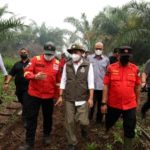Ilustrasi lahan hutan yang terbakar dan gersang di kawasan konservasi Indonesia.