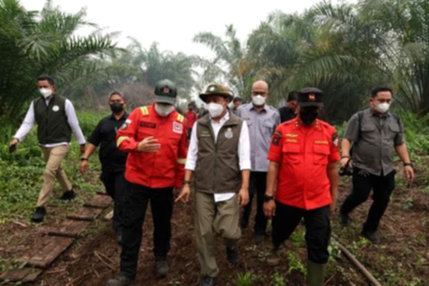 Ilustrasi lahan hutan yang terbakar dan gersang di kawasan konservasi Indonesia.