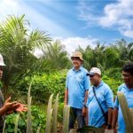 Perwakilan Sinar Mas Agribusiness and Food bersama petani saat program peremajaan kelapa sawit di Musi Rawas