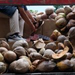 Petugas Bea Cukai memeriksa tumpukan rokok ilegal tanpa pita cukai hasil sitaan di Sumedang