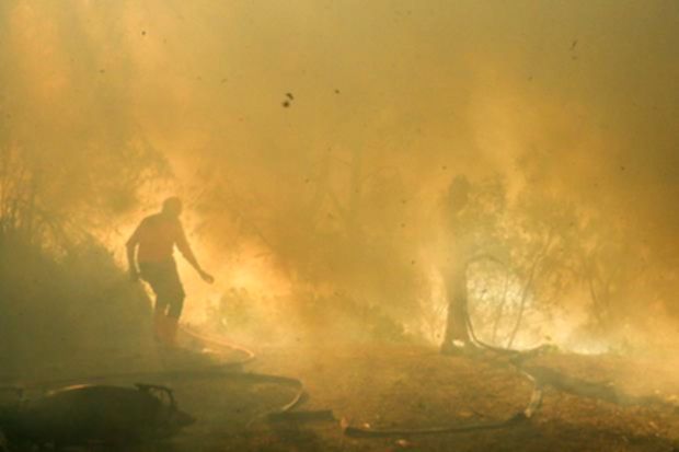 Tim gabungan melakukan operasi pemadaman dan pendinginan kebakaran hutan di kawasan TWA Kawah Ijen, Banyuwangi.
