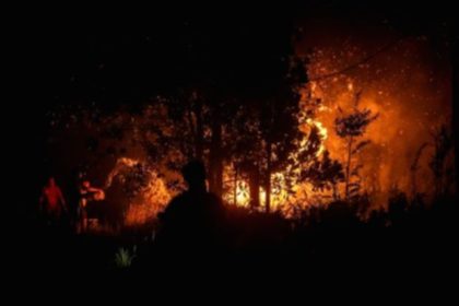 Aktivis Walhi memberikan keterangan pers mengenai evaluasi kebijakan penegakan hukum kebakaran hutan dan lahan