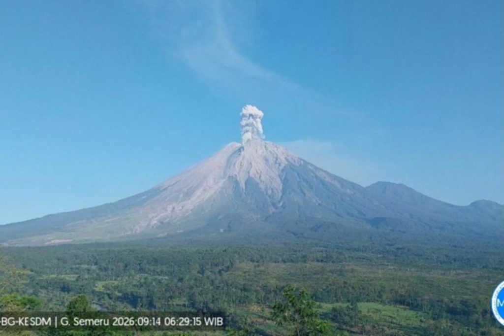 Kolom abu vulkanik membubung tinggi dari puncak Gunung Semeru saat erupsi terjadi pada Senin pagi.
