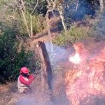 Asap tebal membubung tinggi dari area hutan lindung Gunung Butak akibat kebakaran lahan