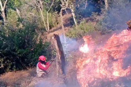 Asap tebal membubung tinggi dari area hutan lindung Gunung Butak akibat kebakaran lahan