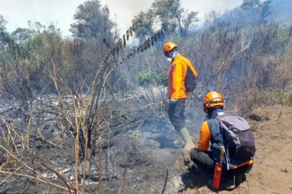 Pemandangan kawasan Gunung Semeru pasca kebakaran hutan dan lahan yang telah berhasil dipadamkan
