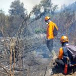 Pemandangan kawasan Gunung Semeru pasca kebakaran hutan dan lahan yang telah berhasil dipadamkan
