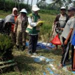 Harga pangan makin mahal, BPS ingatkan ancaman El Nino berlanjut hingga 2027