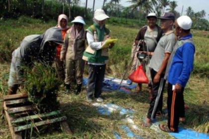 Harga pangan makin mahal, BPS ingatkan ancaman El Nino berlanjut hingga 2027